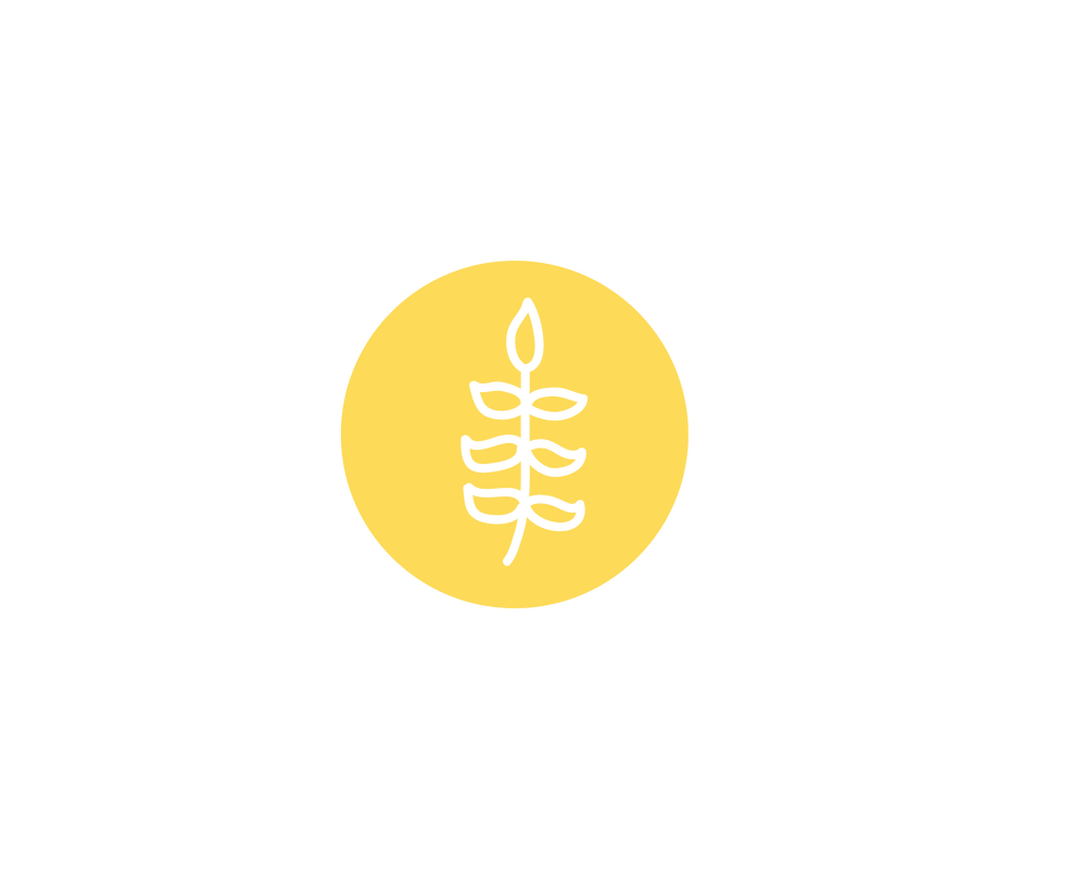 A yellow circle with a fern leaf drawn in the center
